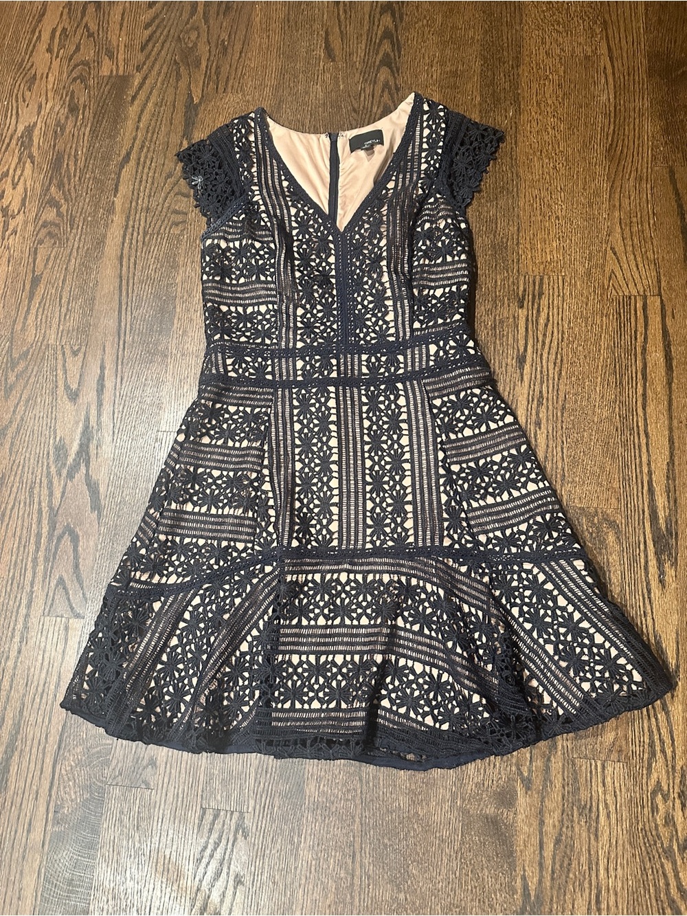 Greylin Black Lace Dress with Nude Lining